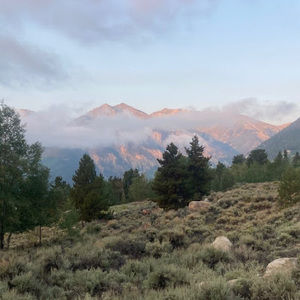 Meet your Posher, James